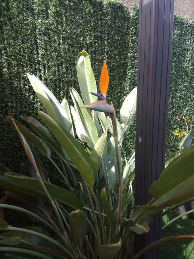 Apartment Garden 칼다스 데 레이스 외부 사진