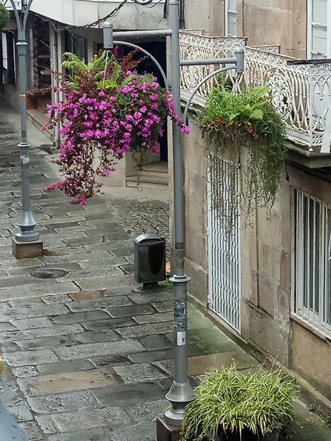 Apartment Garden 칼다스 데 레이스 외부 사진